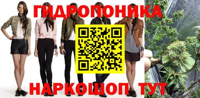 скорость Шахты